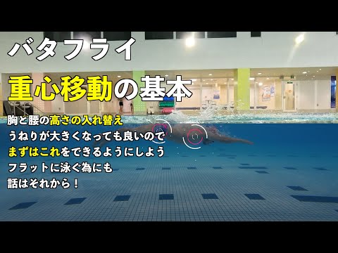 バタフライのグライドは重心移動の基本を押さえている事が重要です。胸と腰の高さの入れ替え、ちゃんとできていますか？