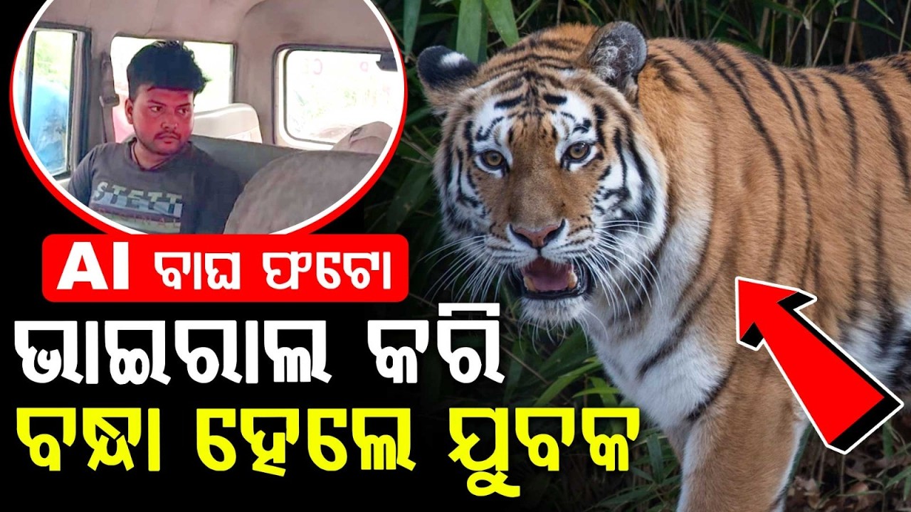 Youth Arrested For Creating Fake AI Tiger Photo And Spreading Rumors In Badachana | Argus News