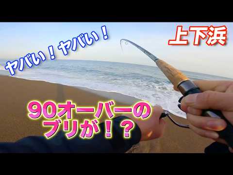 【上下浜】でブリ祭りに遭遇!これが新潟のポテンシャル!とくと見よ!