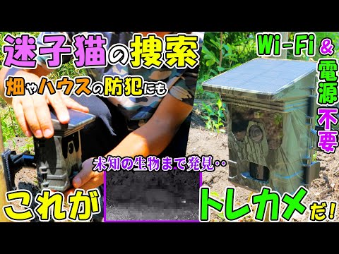 迷子猫の発見に役立つ便利アイテムを使ったら、裏庭に生息する生き物達の命のドラマや、見た事のない未知の生物が記録されていました😱🐂【トレイルカメラとは?畑やビニールハウスの防犯、野生動物の撮影にも】