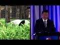 China’s Xi hints pandas could return to the US  - 00:41 min - News - Video
