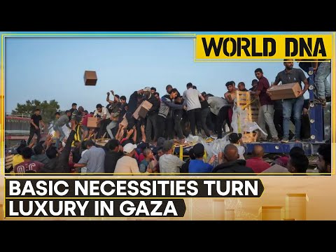 Israel-Gaza War: Starving Gazans Storm US Aid Facility In Rafah | World News | WION | World DNA