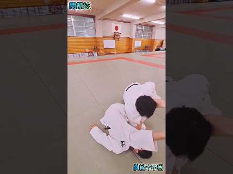 【柔道一撃関節技】腕挫十字固🥋#judo #shorts