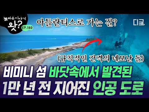 [#놀라운이야기왓] 전설 속 미지의 대륙으로 가는 통로⁉️ 아틀란티스의 유적이라 주장되는 비미니 <strong>로드</strong>💥 | #프리한19 #디글