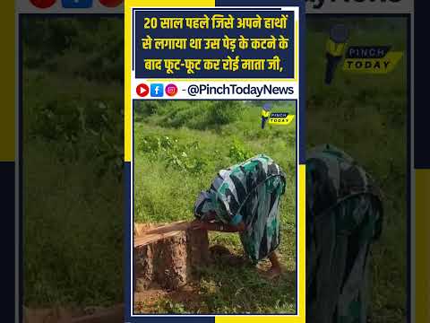 20 साल पहले जिसे अपने हाथों से लगाया था उस पेड़ के कटने के बाद फूट-फूट कर रोई माता जी,