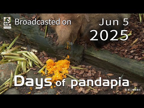 20250605 Broadcast Top Highlights 09