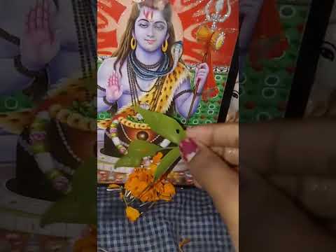 বাড়ির পূজা 🌼❤️#love #krishna #krishna #song #radgakrishna #harekrishnasong #hindusong