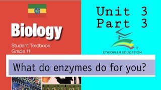 Ethiopian Grade 11 Biology Unit_3 p_3 Benefits of Enzymes