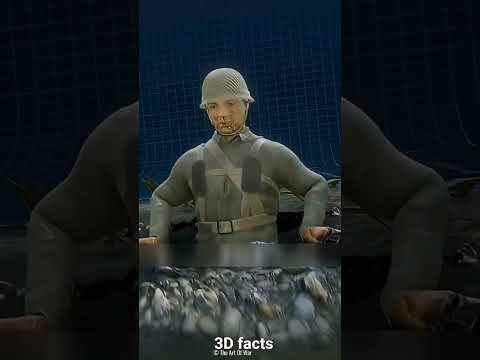 वियतनाम सैनिकों का मिट्टी का जाल!🤔#facts #shortvideo #ytshorts #ytshortsindia