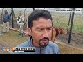 Suspected Cattle Smuggler Allegedly Killed in BSF Firing: Insights By Gyan Jyoti Dutta | News9  - 03:55 min - News - Video