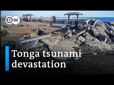 Tonga volcano: First aid flights arrive | DW News