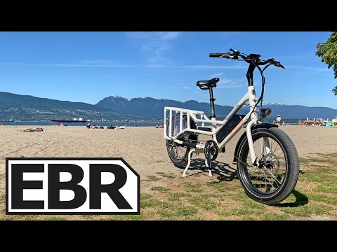 Rad Power Bikes RadWagon 4 Review - $1.5k Best Affordable Electric Cargo Bike