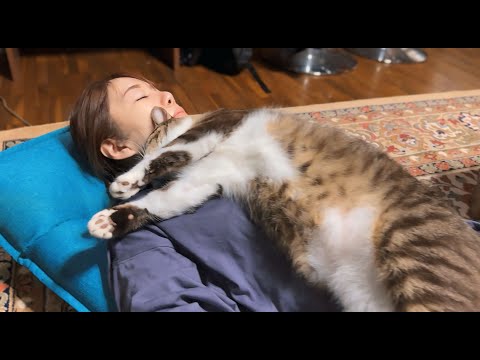 ポン太とママの日常