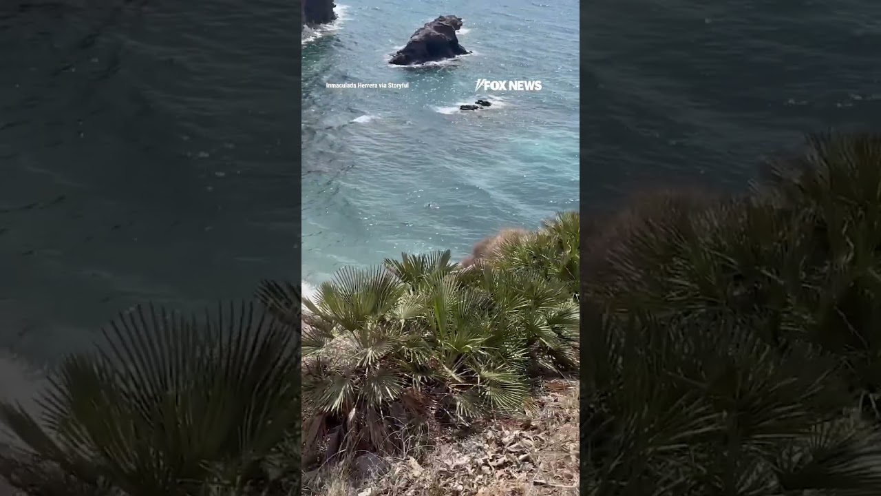 Beachgoers ABANDON shore as migrant boat arrives on Spanish coast #shorts