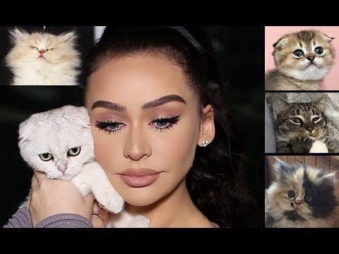 LIVING WITH 5 CATS... Q&A, FAV PRODUCTS & MORE! Carli Bybel