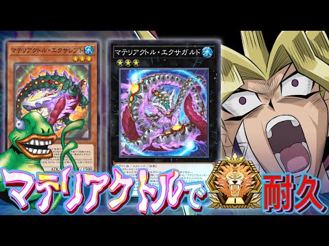 マテリアクトルでマスターTier1行くまで終わらない配信【遊戯王マスターデュエル】