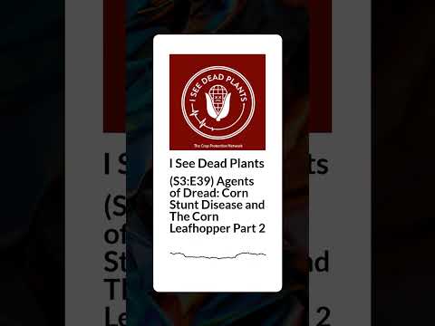 (S3:E39) Agents of Dread: Corn Stunt Disease and The Corn Leafhopper Part 2 | I See Dead Plants