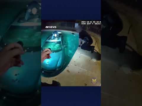 Polícia resgata homem preso em carro dentro da piscina nos Estados Unidos #Shorts