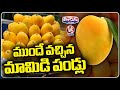 Artificially Ripened Mangoes In Market | Calcium Carbide Mangoes   | V6 Weekend Teenmaar