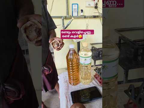 ഇതിൽ ഏത് നല്ലത്?? #shorts #shortvideo #shortsfeed #agriculturetips #coconutoil