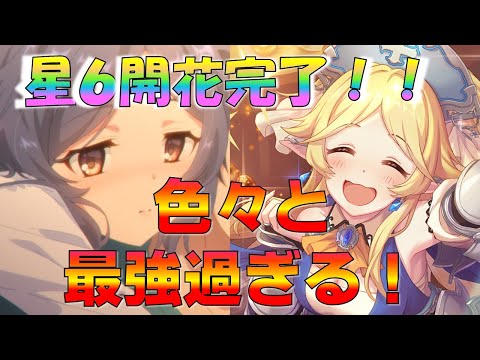 【プリコネ】最速でユカリさんを星６にする！最強魔法タンク＆サポーター爆誕！！ていうか色々と最高すぎる！