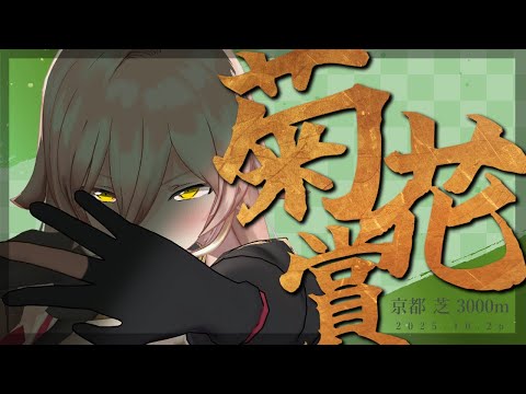 【競馬同時視聴】2025年 菊花賞 同時視聴【ニュイ・ソシエール/にじさんじ】