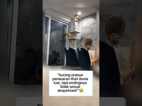" si penasaran lihat dunia luar, tapi endingnya bikin gagal fokus!"😂