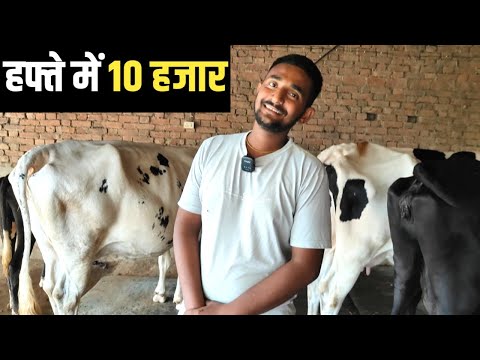 पढाई के साथ चलाता हूँ अपना छोटा सा Dairy Farm | Dairy Farming Business