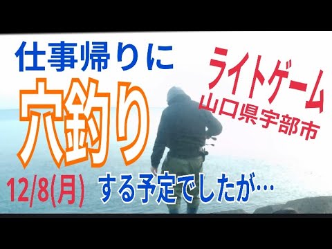 【12/8(月)本日の山口県宇部市】仕事帰りに穴釣りに来たら…