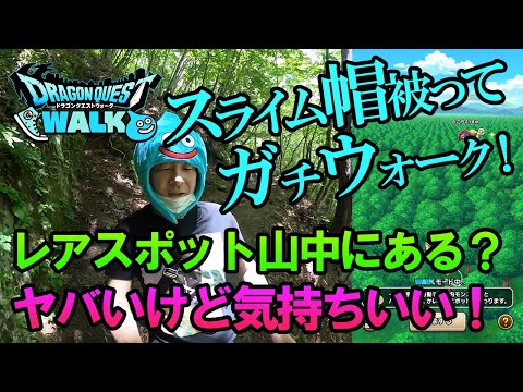 【ドラクエウォーク116】山中でマイレージを稼ぎつつレアスポット探したらヤバかった！でも久々のガチウォークは気もちいい！