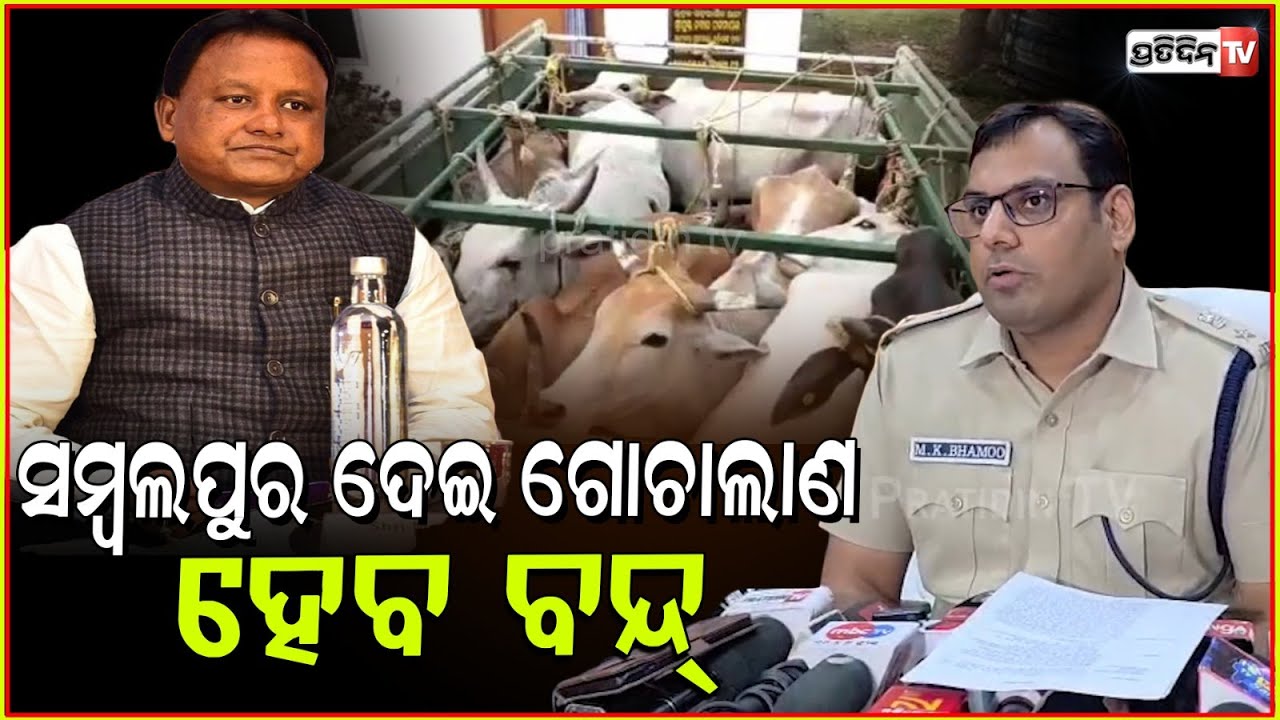 ଗୋଚାଲାଣ ସମ୍ବଲପୁର ଦେଇ ହେବ ବନ୍ଦ୍, ମୁଖ୍ୟମନ୍ତ୍ରୀ ଦେଇଛନ୍ତି କଡ଼ା ନିର୍ଦ୍ଦେଶ। Cattle smuggling, Sambalpur.