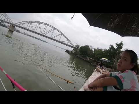 Câu cá sông Đồng Nai câu được cá chép to dưới chân cầu ghềnh..@chautientv