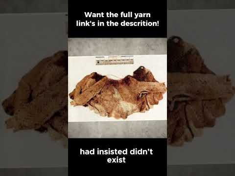 The Shocking Discovery That Finally Proved an Innocent Mother's Truth!