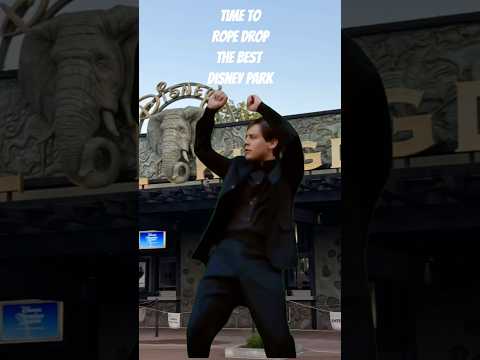 Animal Kingdom Is A Vibe#disney#disneyworld#disneyparks#animalkingdom#shorts