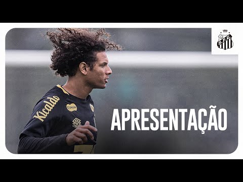 image para ilustrar o artigo
