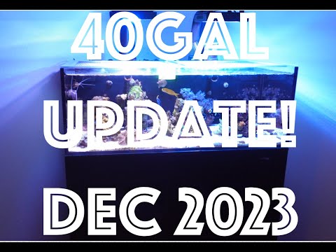 40gal Update Dec 2023! Check out the Dec 2023 update!

Get 10% off for your new Aquarium Cover/Lid from Kraken Reef with th
