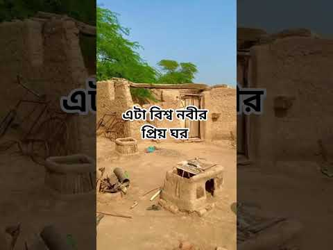 বিশ্ব নবীর ঘর#shorts #shortsvideo #islam #quran #foryou