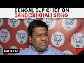 Bengal BJP Chief On Sandeshkhali Sting: One Persons Claims Cannot Override 600 Affidavits