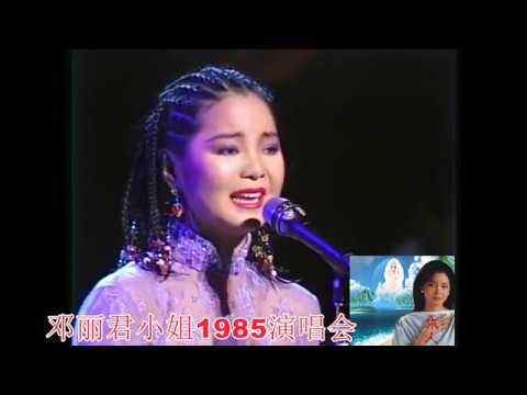 邓丽君演唱会全集下