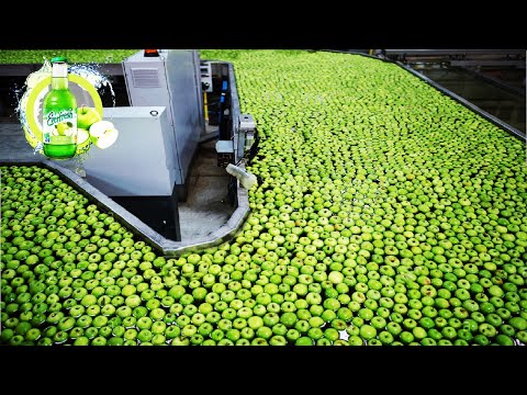 How Fruit Juice Made in Factory - Papaya, Pomegranate, Apple, Lime Juice Production Line ?