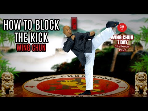 How to block kick and punch in Wing Chun day 4