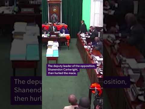 Watch the moment a ceremonial mace is thrown out of the window in Bahamas parliament