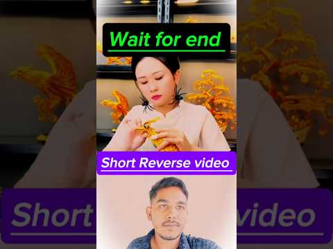 279 I like 👍 this video #explore #newvideo #newsong #viralvideos #trending #love #funny #shorts