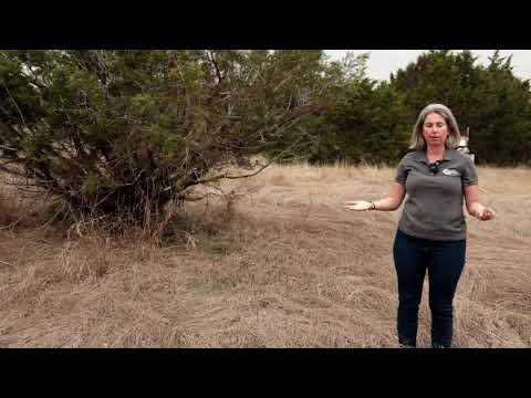 20 Years of Land Restoration Research