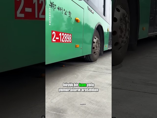 Bu bayan gerçekten iyi bir sürücü #shortsvideo