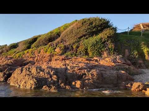 Property video