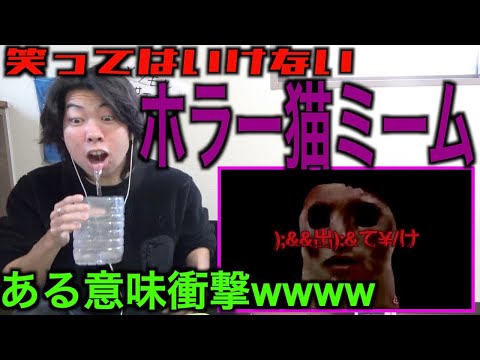 【久々】笑ってはいけないホラー猫ミームを数ヶ月ぶりにしたらとんでもなかったwwwwww