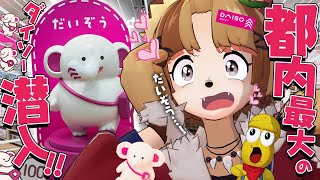 【衝撃】ダイソーに新展開!?デカすぎる店舗に特別に潜入してきました!!