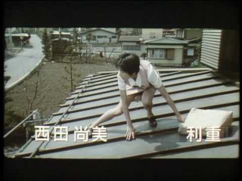 Himitsu no hanazono'