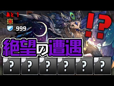 【悲劇】ムラコレを5回引いて出たキャラで裏異形に挑戦！【パズドラ】